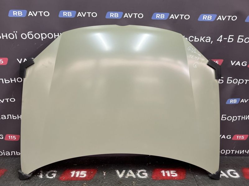 0510598280G Капот