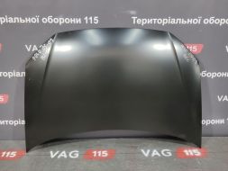 Капот - 6Q0823031J